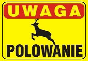 Polowanie 